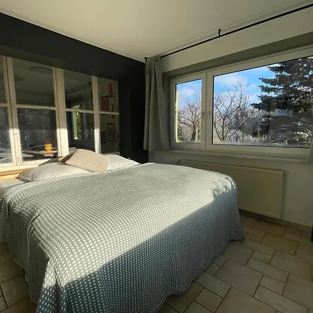 Magnolia * اشمالكالدن