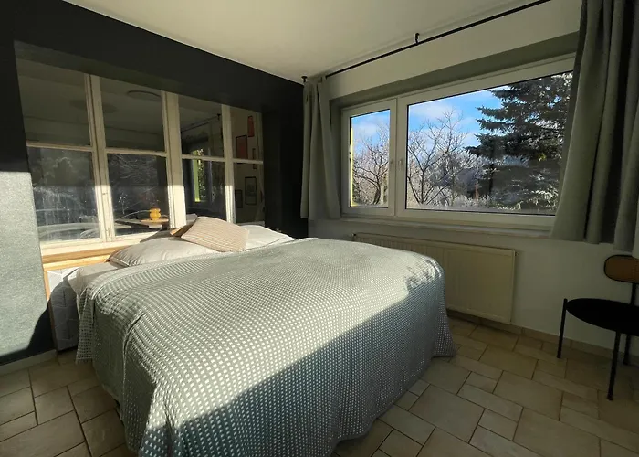 Magnolia * اشمالكالدن